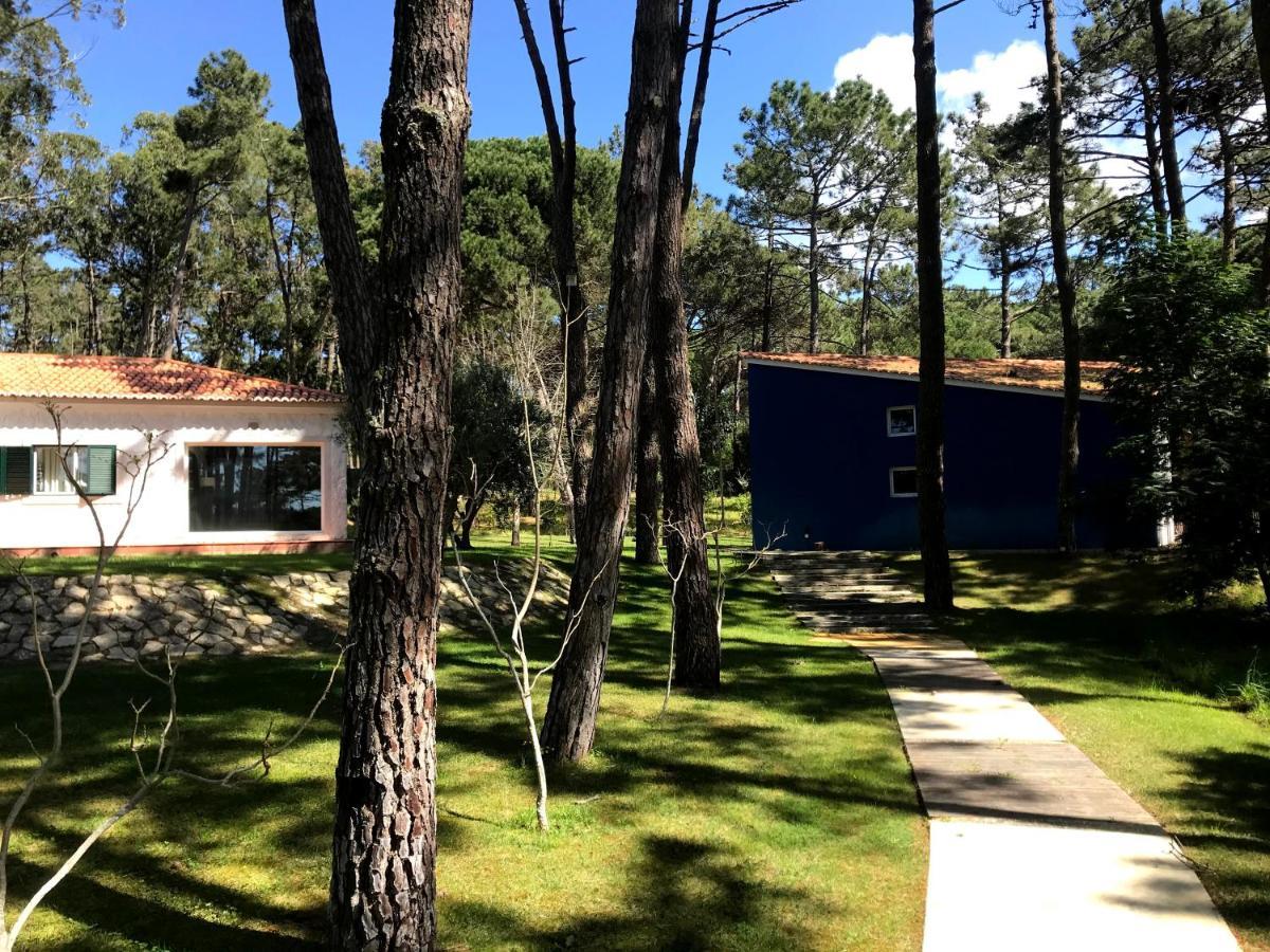 Villa Colares 신트라 외부 사진