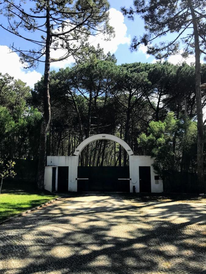 Villa Colares 신트라 외부 사진