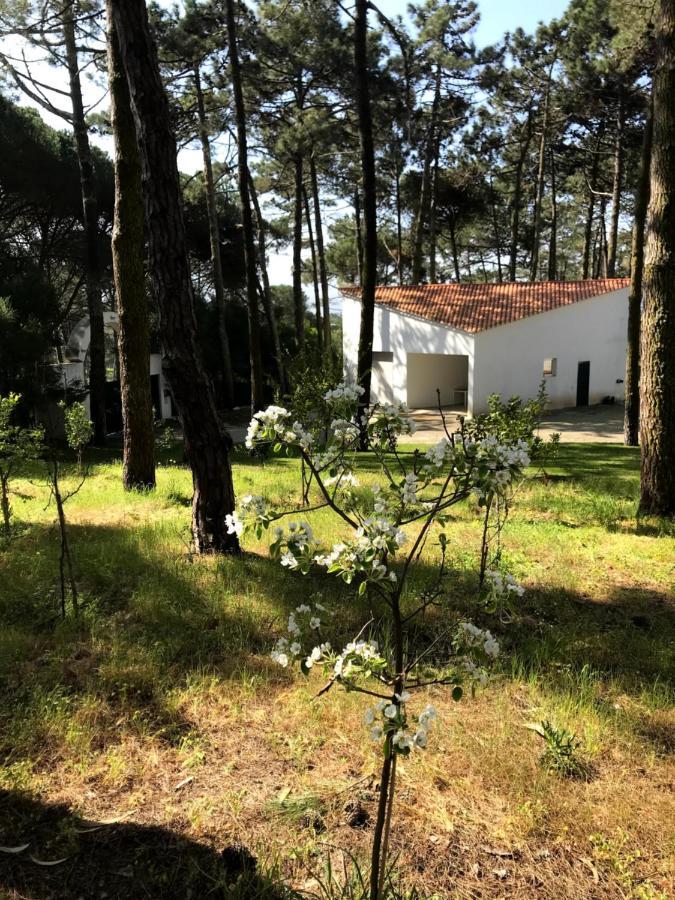 Villa Colares 신트라 외부 사진